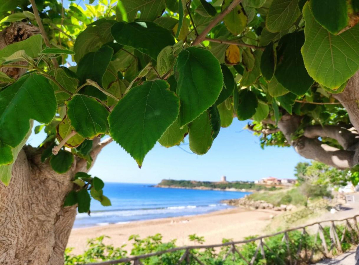 B&B Capo Rizzuto Fronte Mare エクステリア 写真